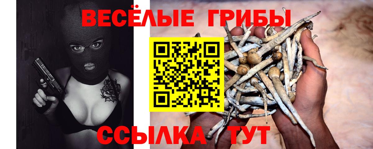 Псилоцибиновые грибы мицелий Кореновск